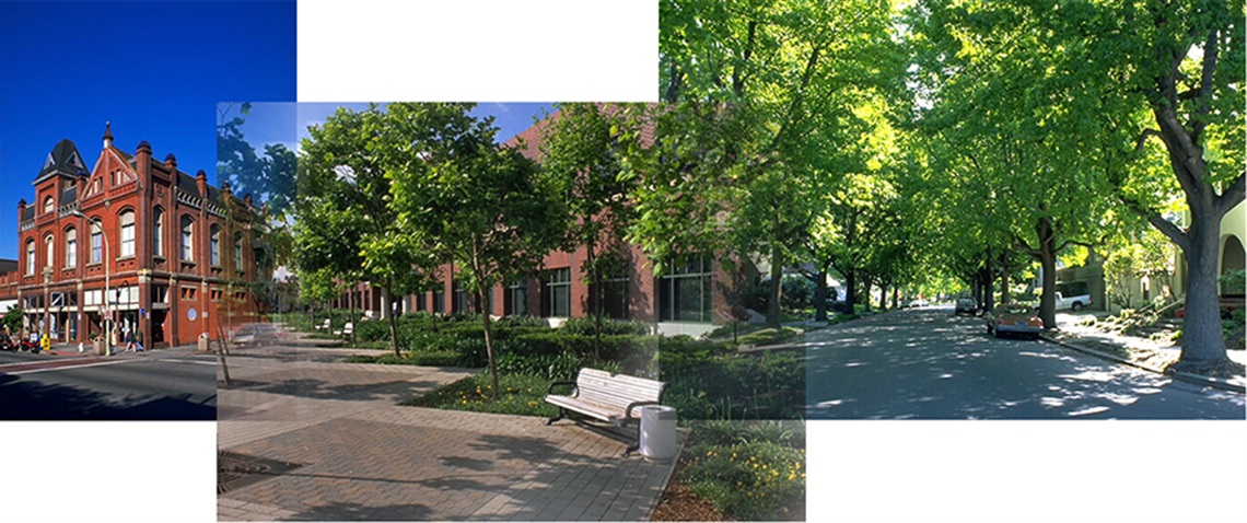 Collage of buildings, trees, and walkways