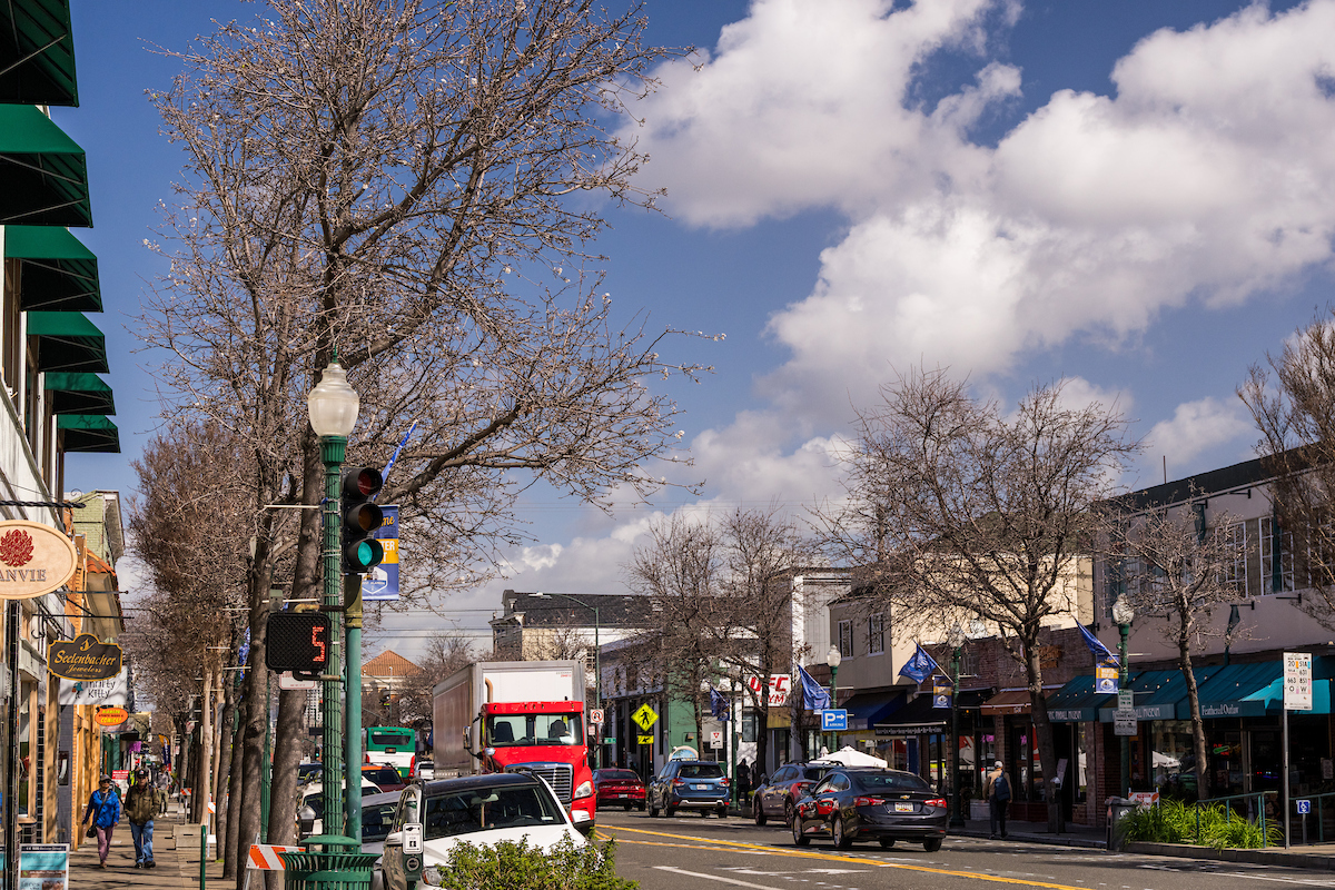 20240328-112430_AlamedaUrbanForest-WebsterSt-mrz.jpg