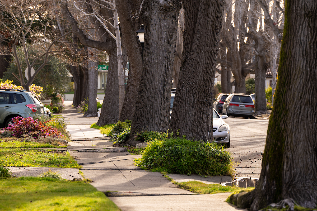 240313-092613_Alameda-PublicWorks-ADA-sidewalkdisrepair-GibbonsDr.jpg