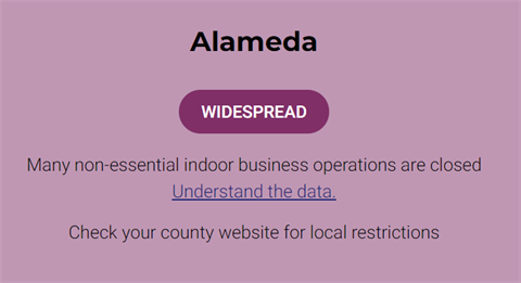 purple.png