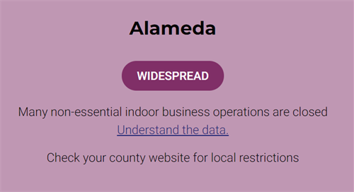 purple.png