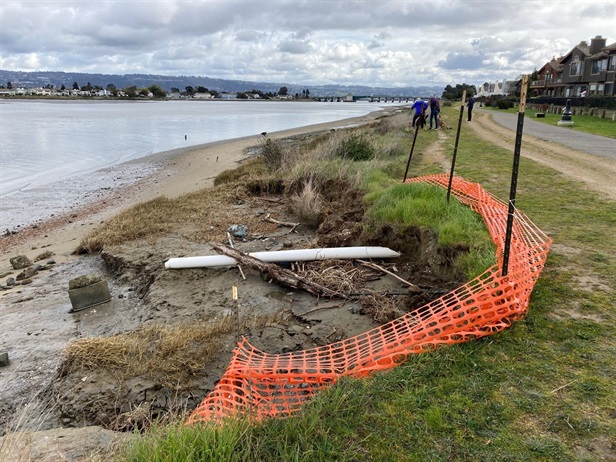 Erosion along northern shoreline of Bay Farm Island
