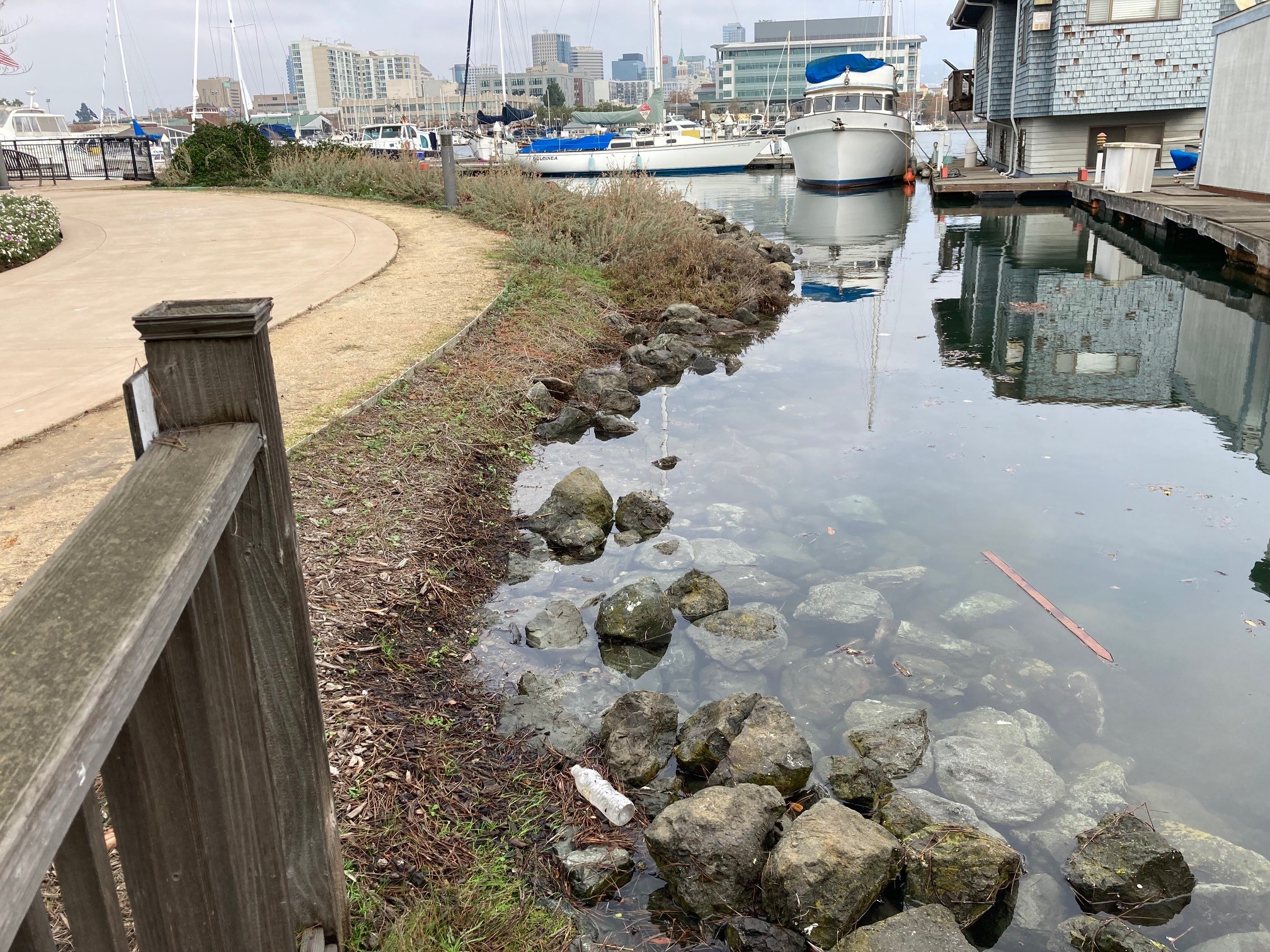 Bay Trail by Oakmont and floating homes