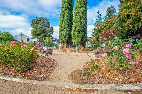 Lincoln Park Rose Garden