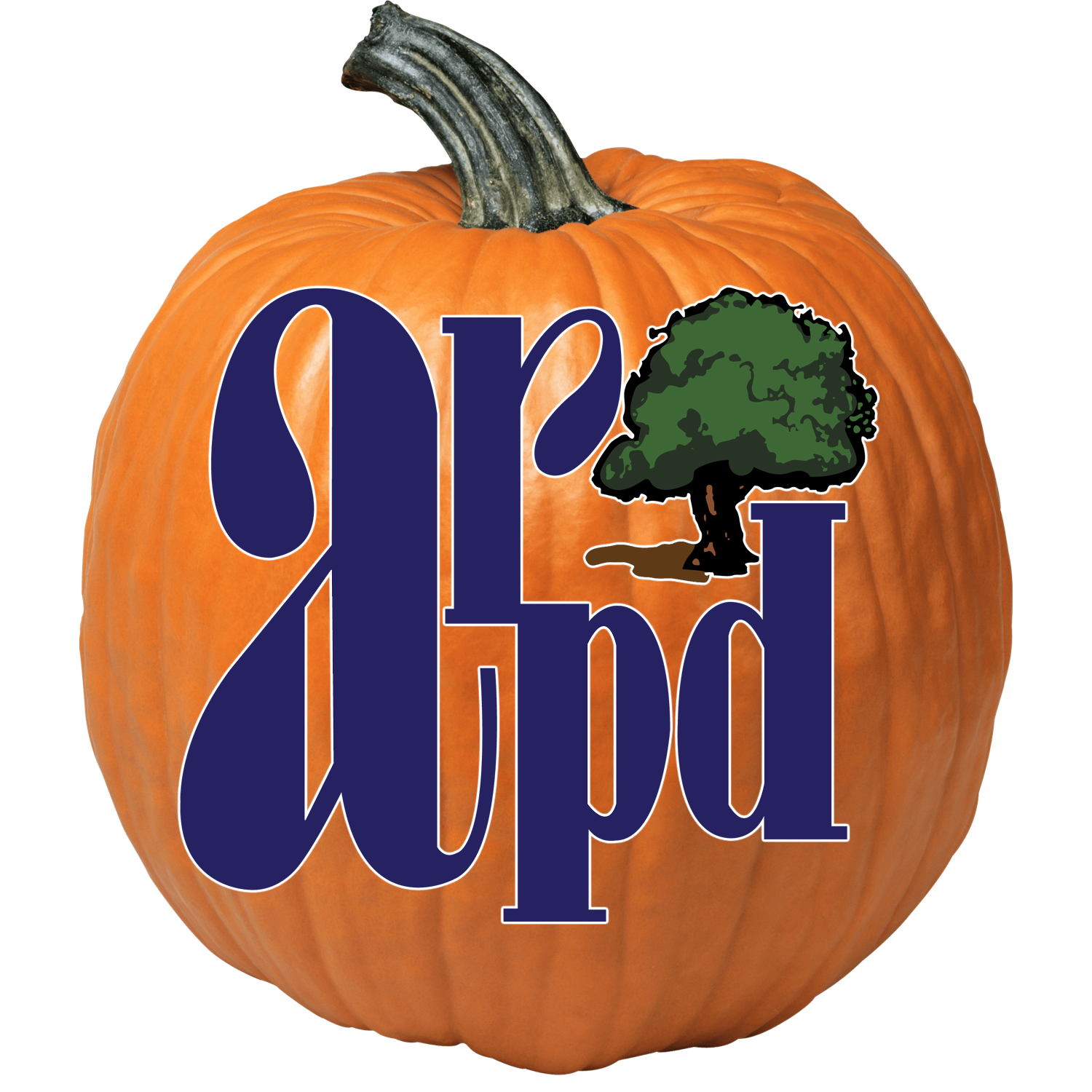 pumpkin with ARPD on it