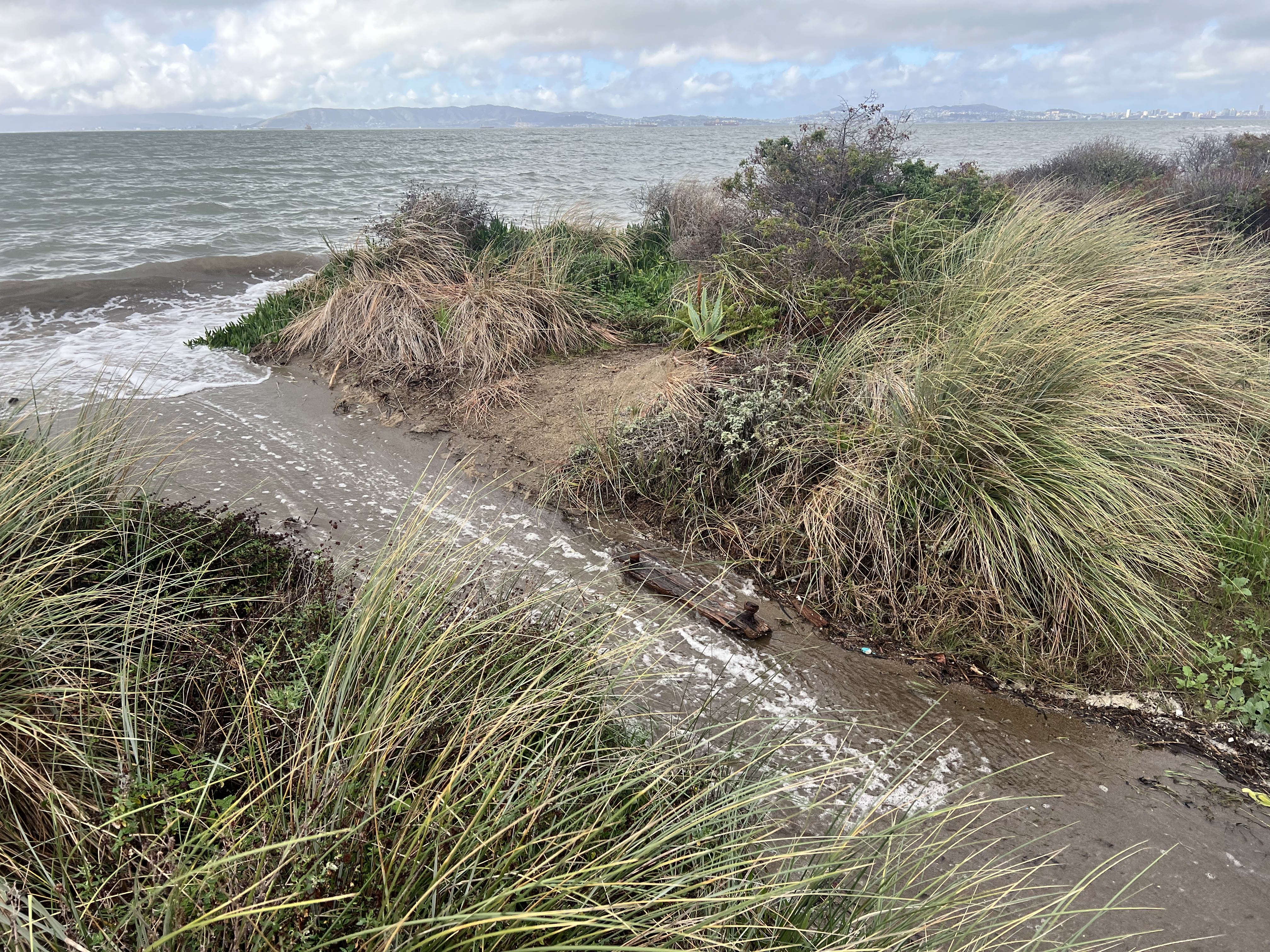 Shoreline Drive bay water flooding over the dunes