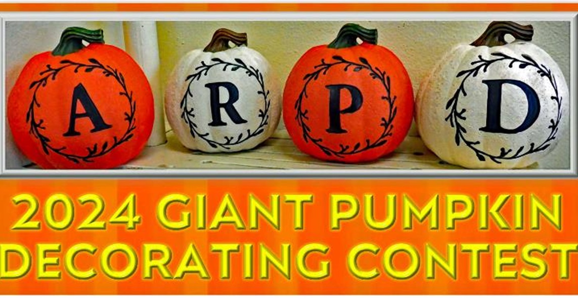 2022 Decorated Pumpkin Contest