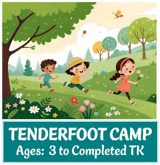 2026 Tenderfoot Camp